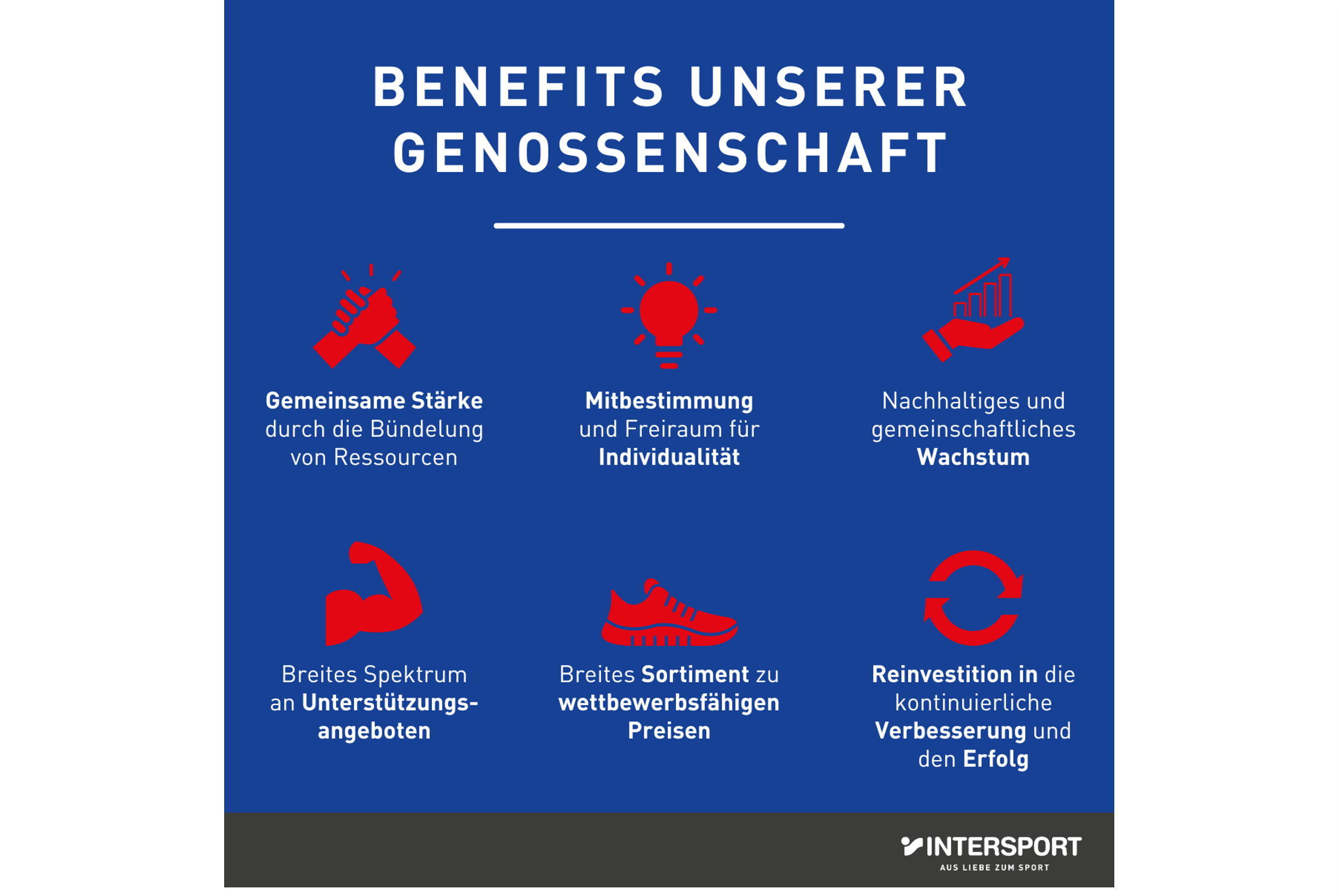 Infografik: Benefits einer Genossenschaft